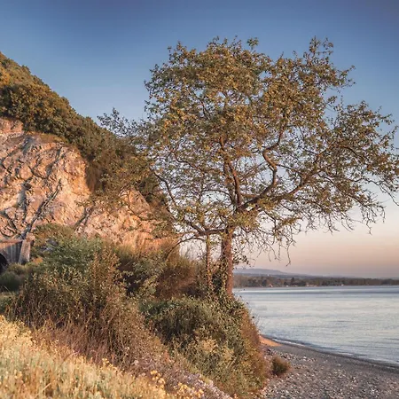 Evriali Seaside Lägenhetshotell Platamonas
